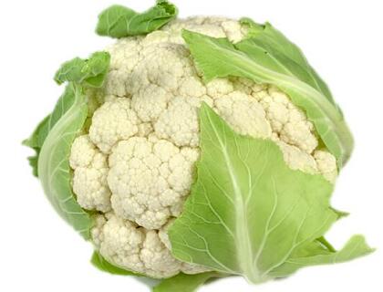 新鮮蔬菜配送:花菜